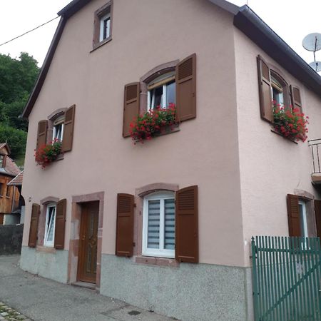 Ferienwohnung cheznousenalsace Lautenbach Exterior foto